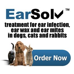 antibiotic ear drops | Dog Ear Infection | Dog Ear Problems | Ear